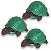 Turtle Toy
