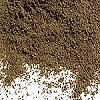 Seaweed